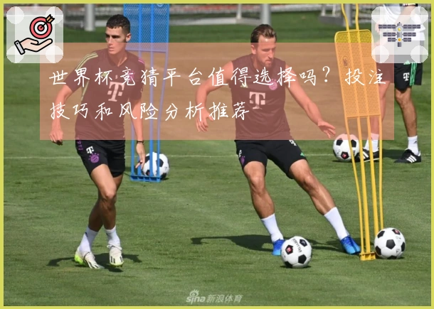 世界杯竞猜平台值得选择吗？投注技巧和风险分析推荐