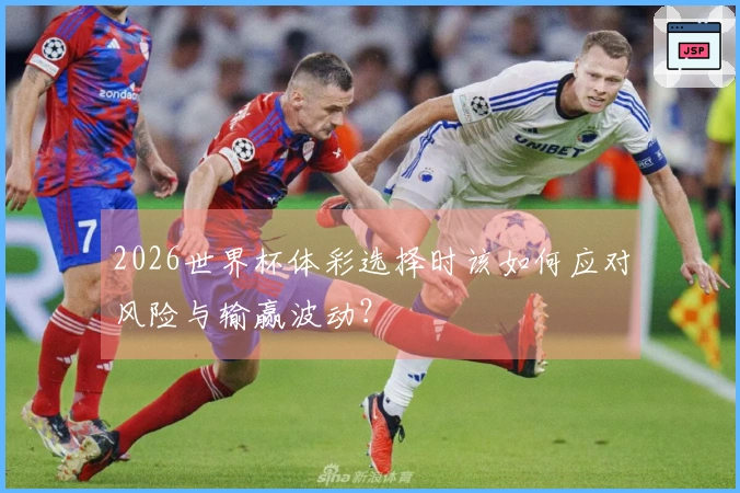 2026世界杯体彩选择时该如何应对风险与输赢波动？