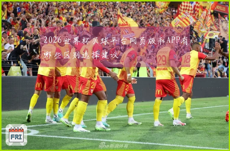 2026世界杯买球平台网页版和APP有哪些区别选择建议