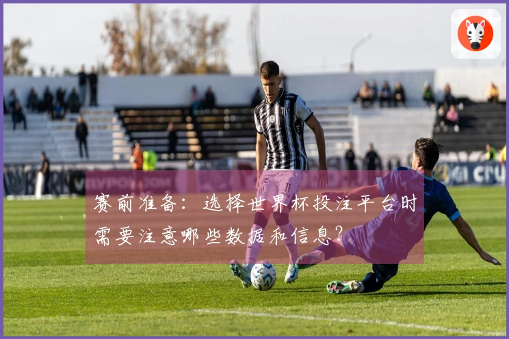 赛前准备：选择世界杯投注平台时需要注意哪些数据和信息？